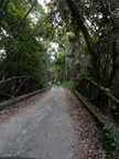 DSC04067